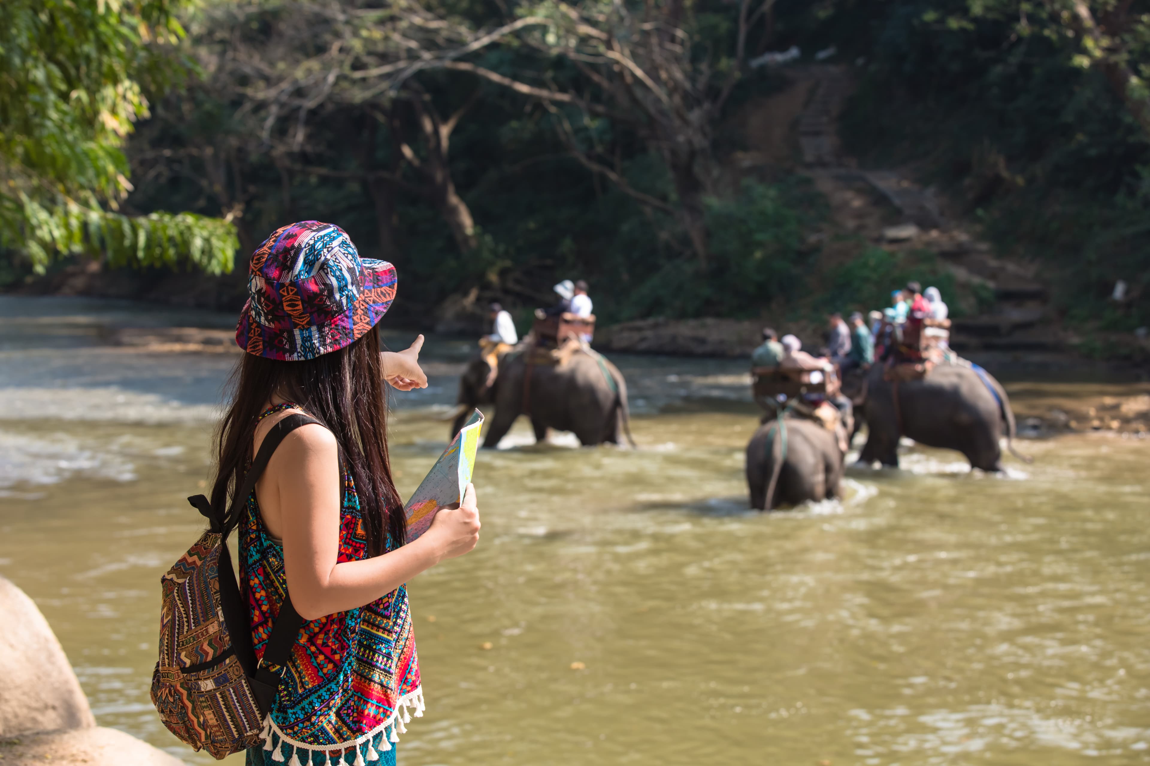 Spend a day with gentle giants at a nearby ethical elephant sanctuary