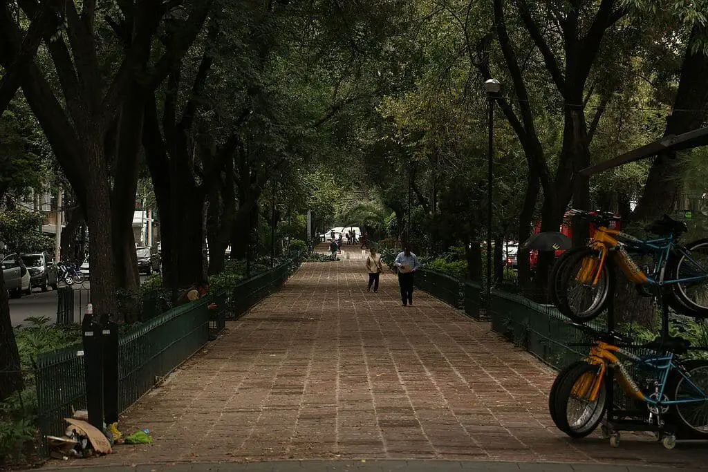A view of the camellón median strip in Colonia Roma Norte, Mexico City, featuring green landscaping and tree-lined streets.