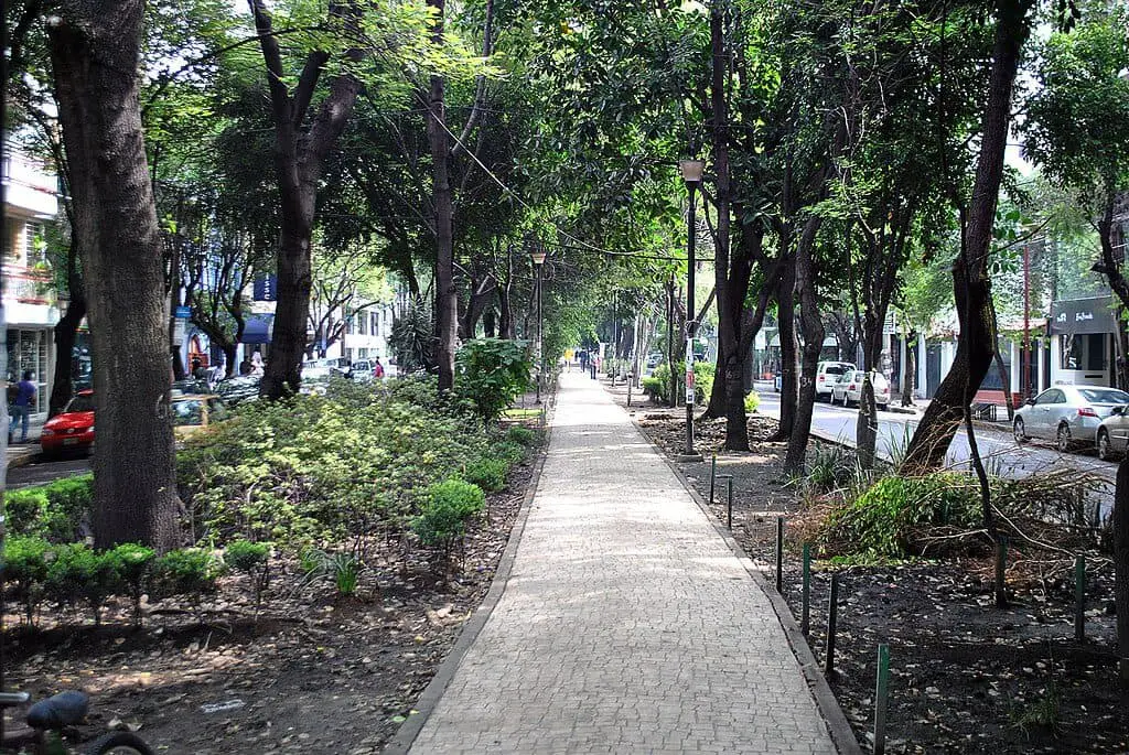 Avenida Ámsterdam in the Colonia Hipódromo-Condesa, Mexico City, known for its elliptical shape surrounding Parque México.